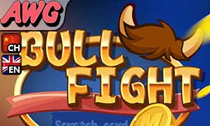 Bull Fight