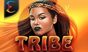 Tribe