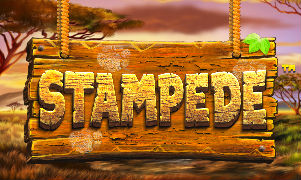 Stampede