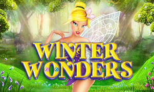 Winter Wonders